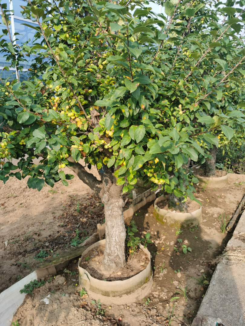 ��������