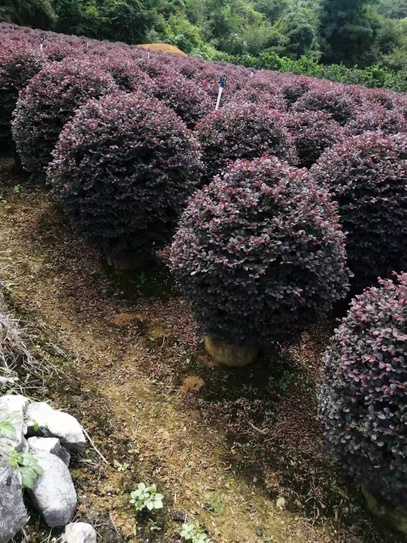 컨ľ