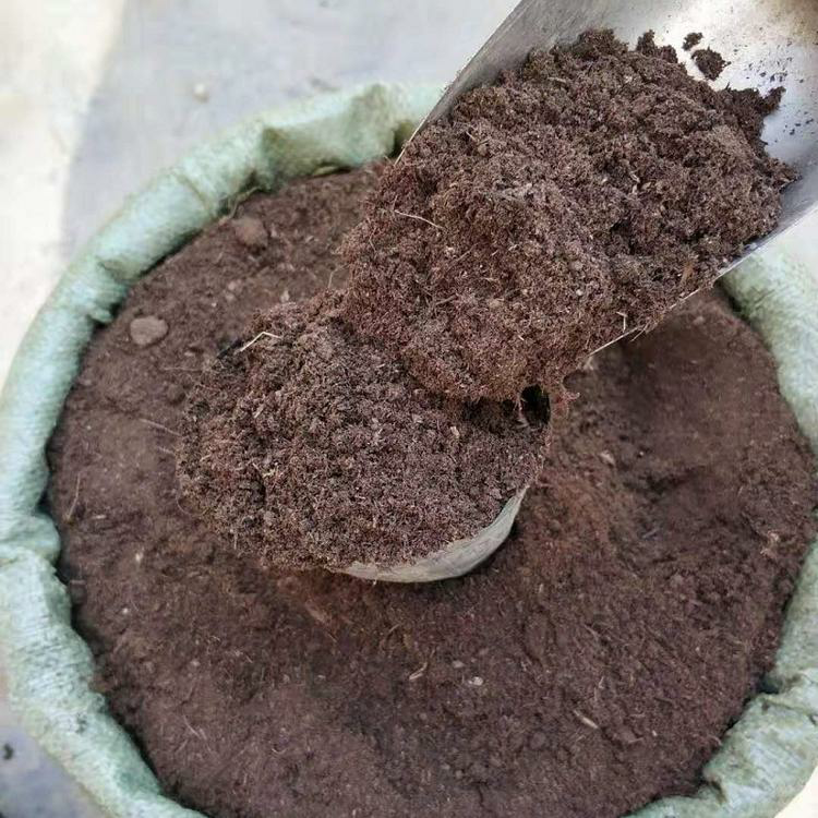 Ӫ