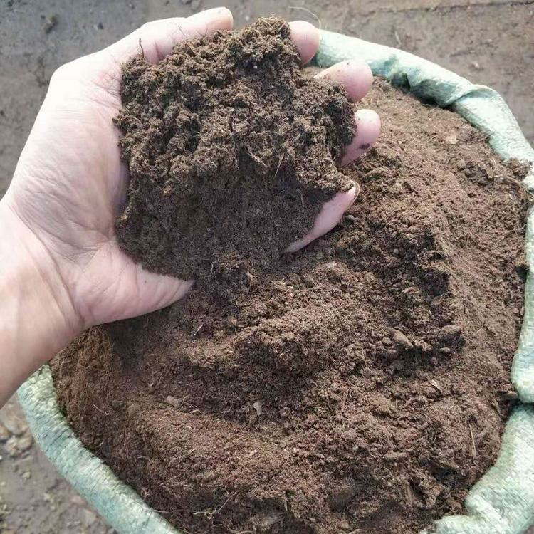 Ӫ