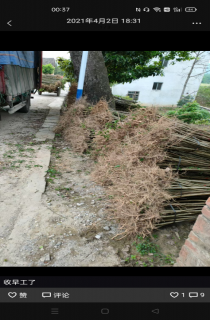 СҶޱ
