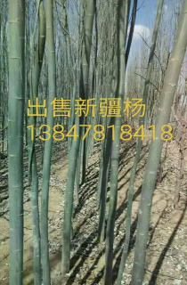 ½