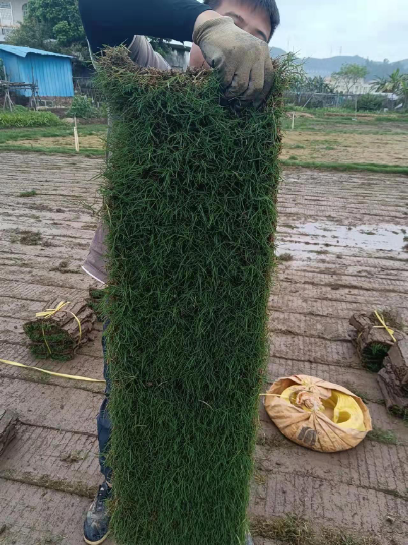 Ľ