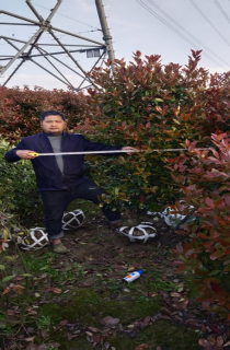 Ҷʯ