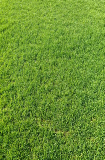 ̨Ų