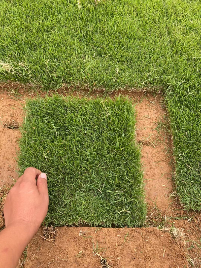 ļƺ