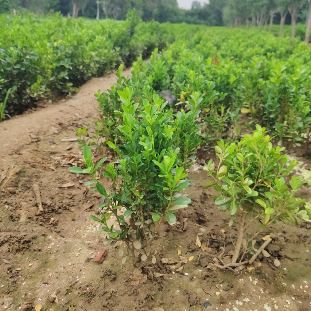 ���ӻ���