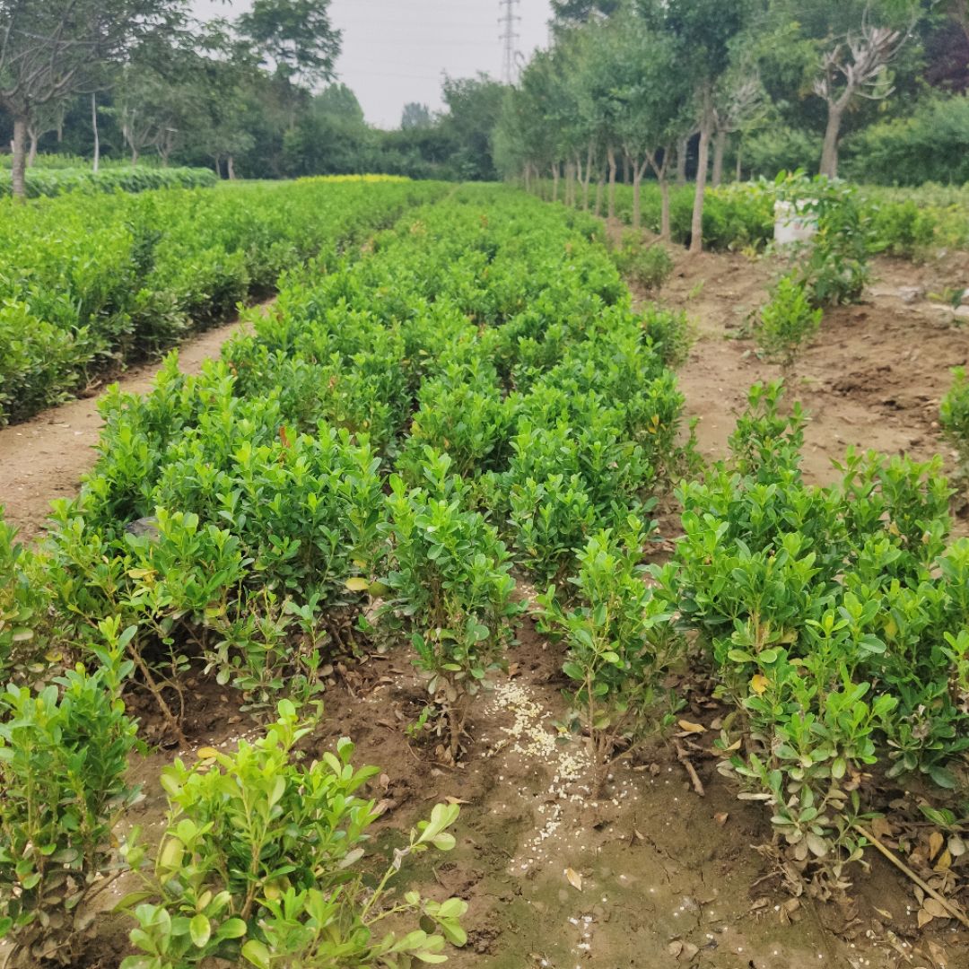 ���ӻ���