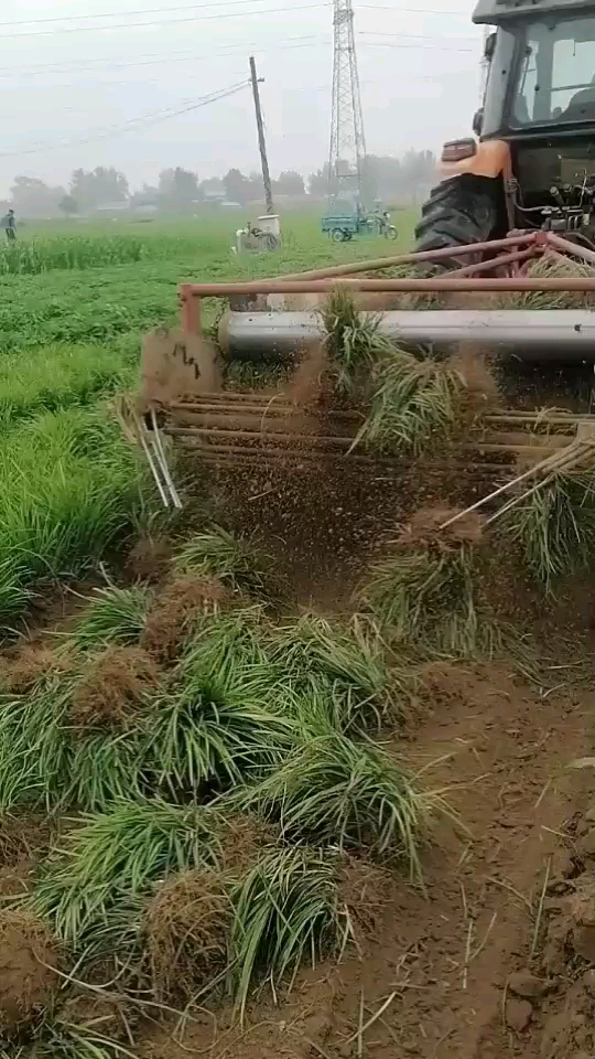 ϸҶ󶬲