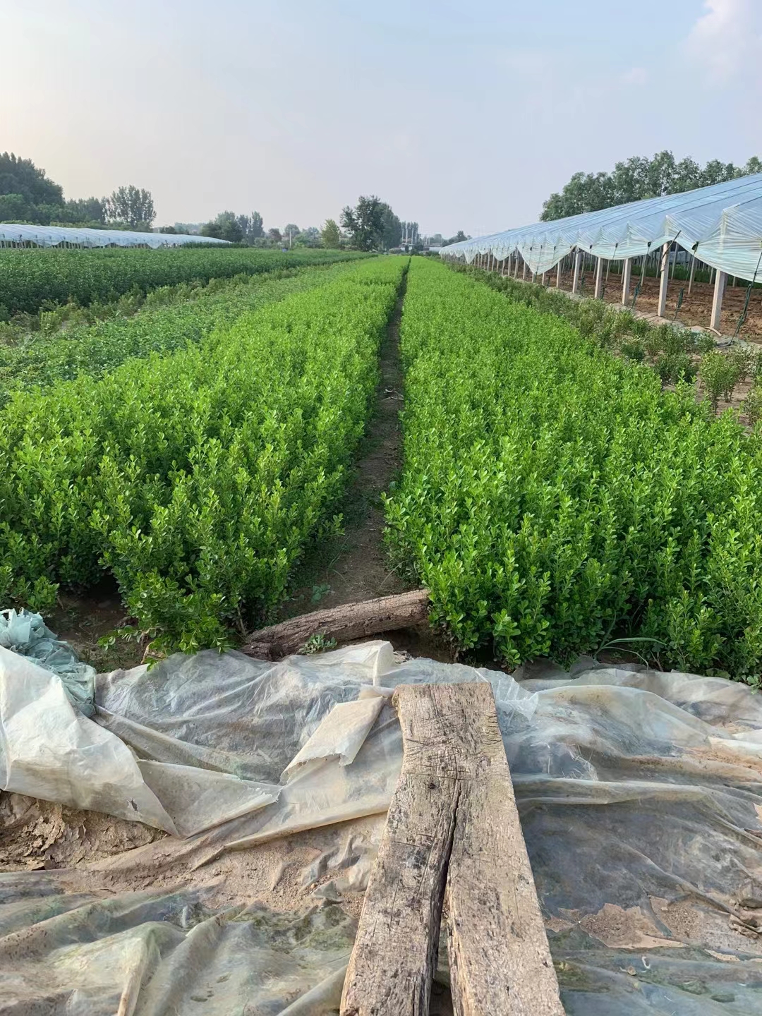 ���ӻ���