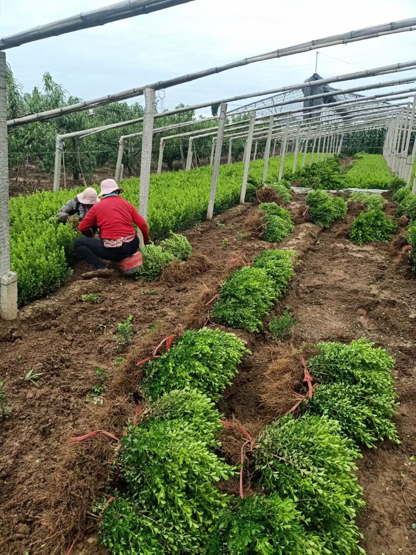 ���ӻ���