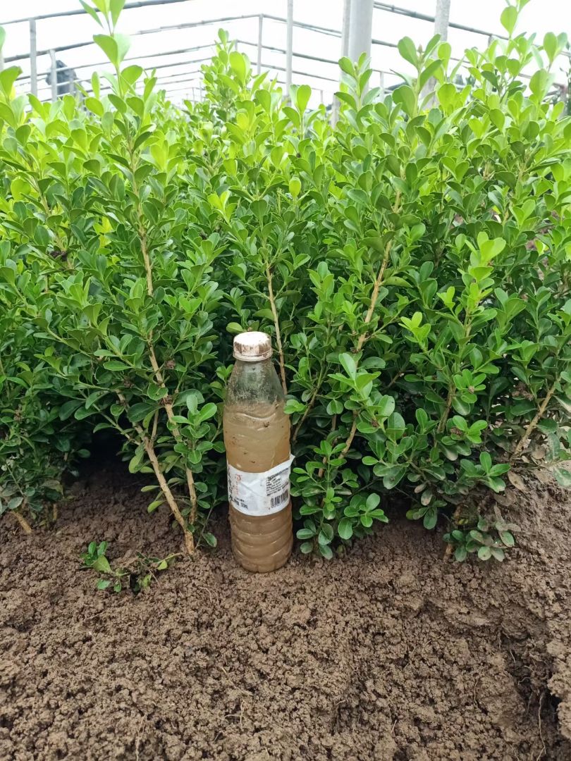 ���ӻ���