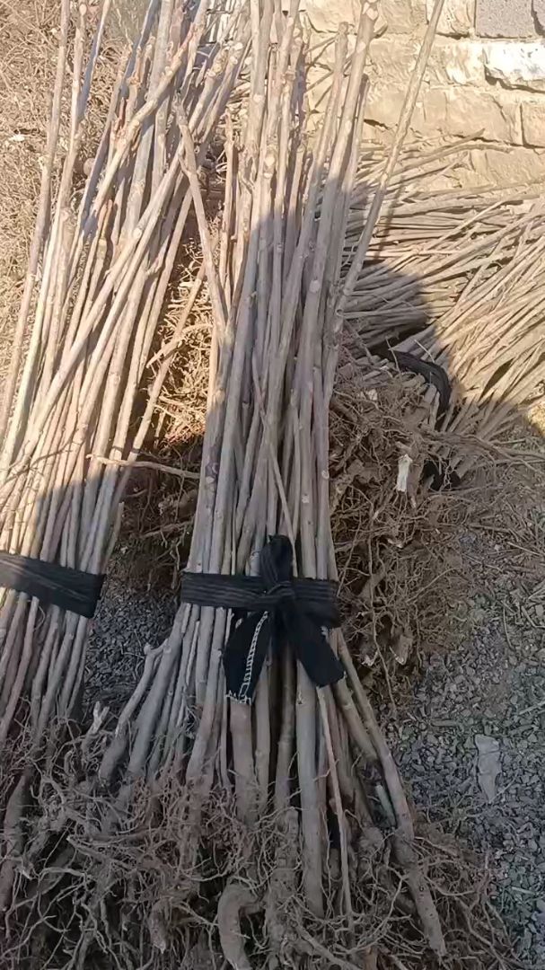 㴻