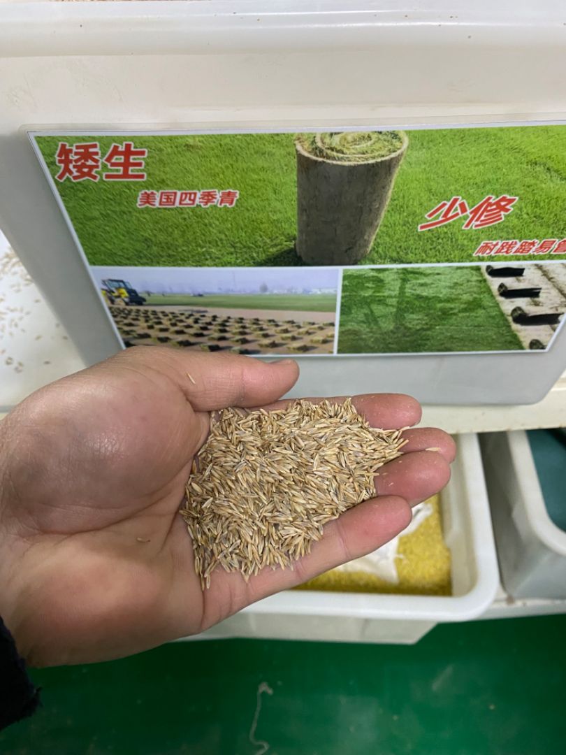 ļƺ