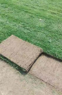 Ľ