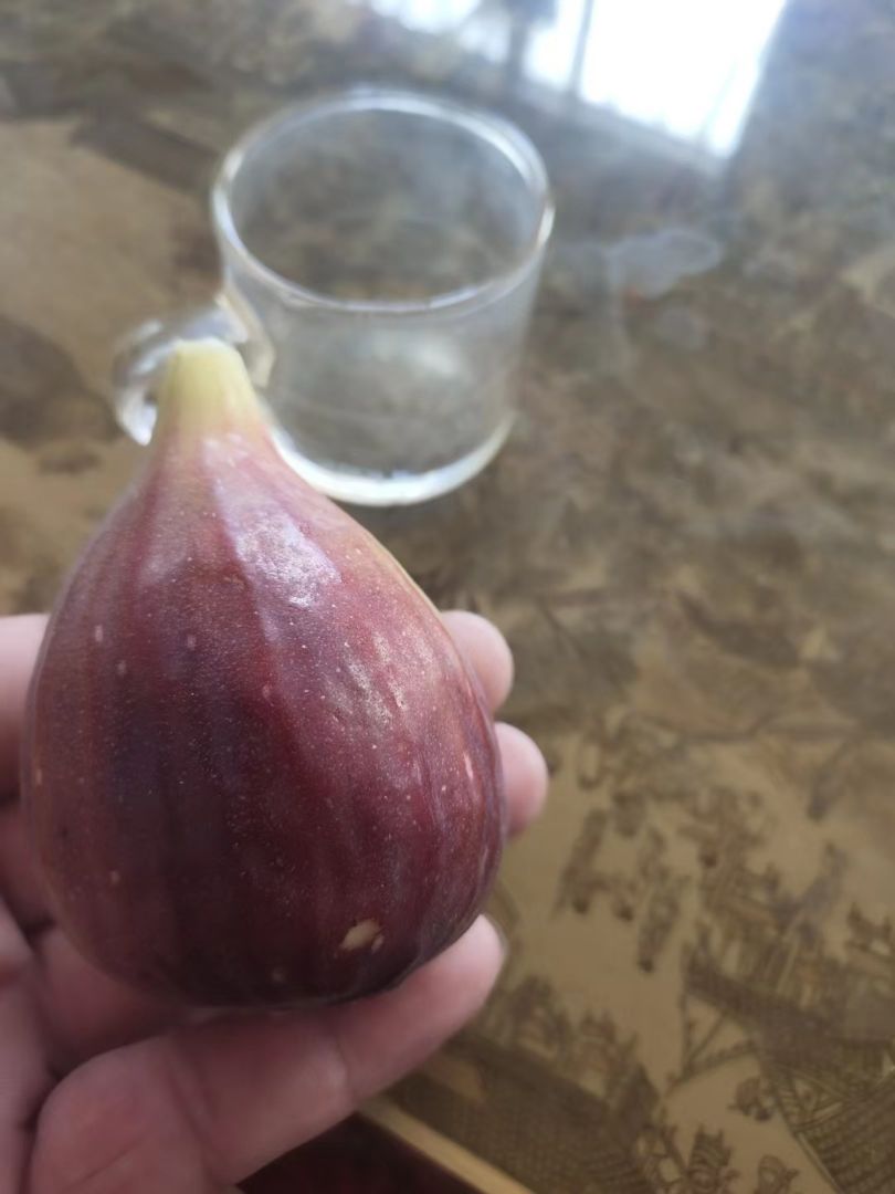 ޻