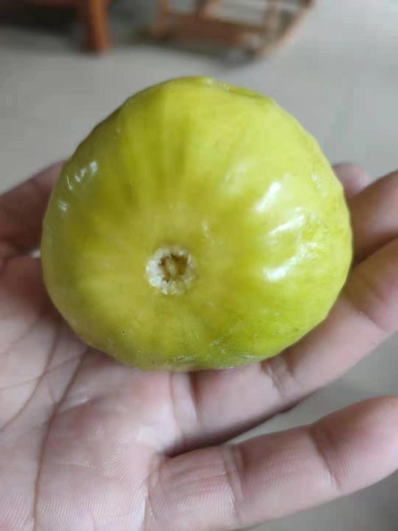 ޻