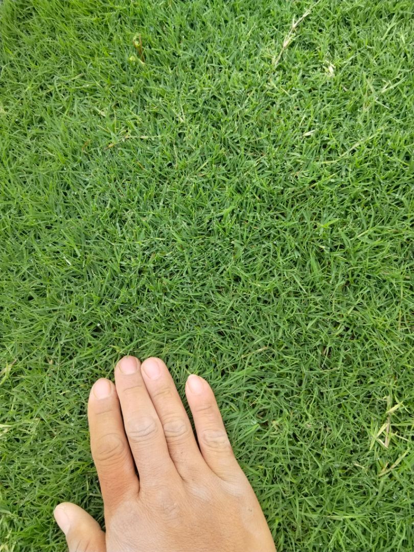 Ľ