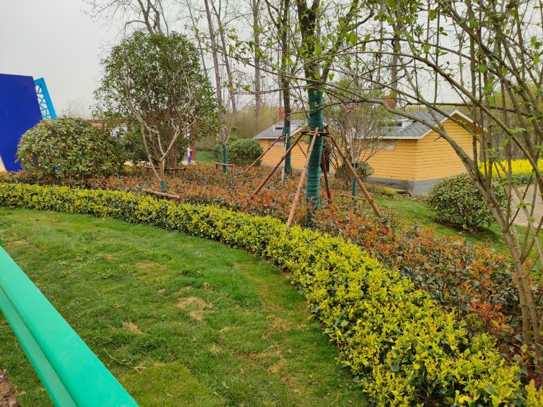 ��Ҷʯ�С��