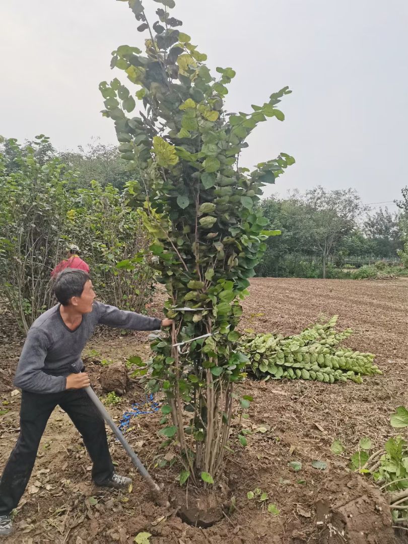 �����Ͼ�