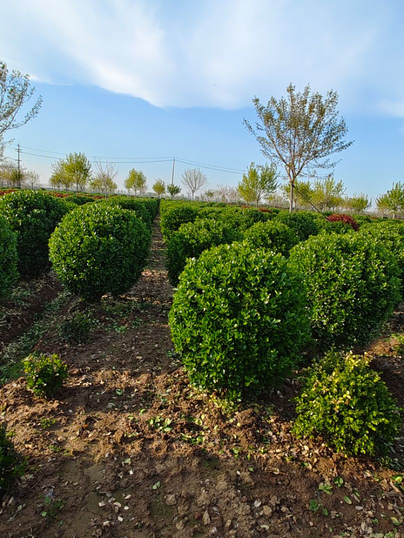 ������ì��