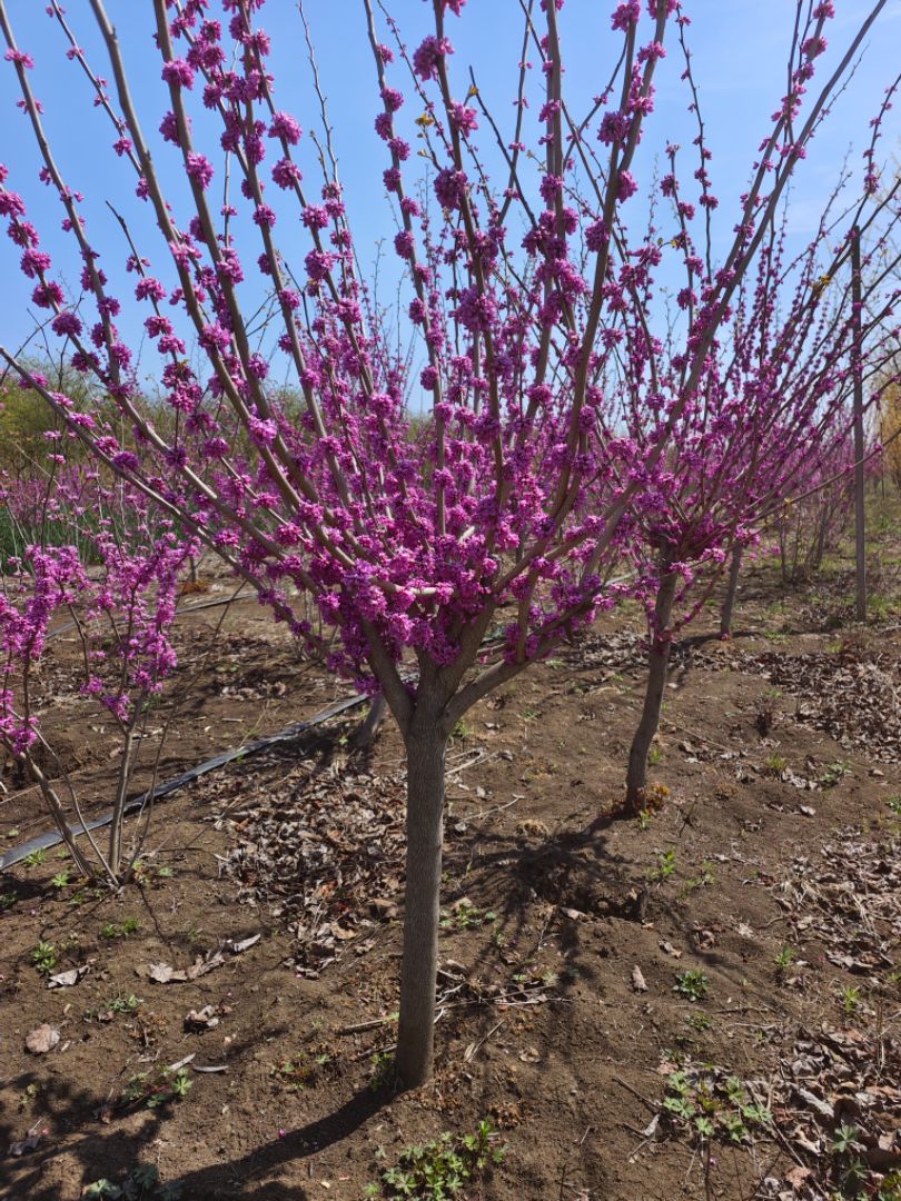 �����Ͼ�