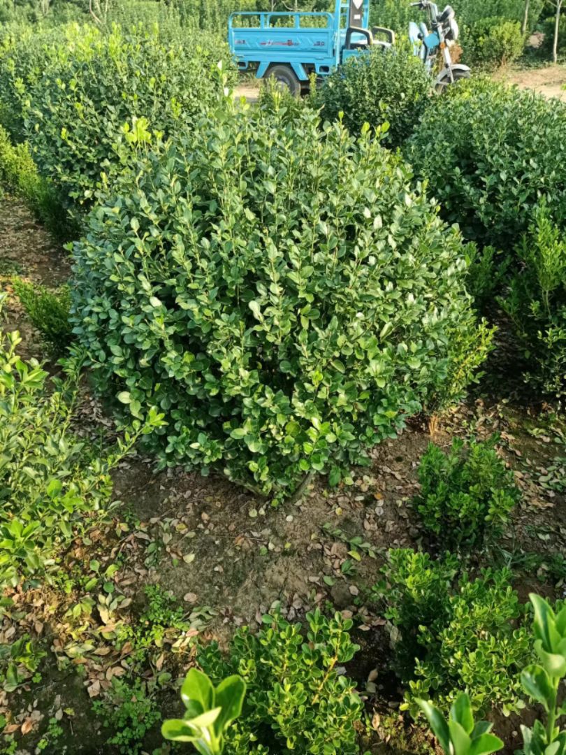 ������ì��