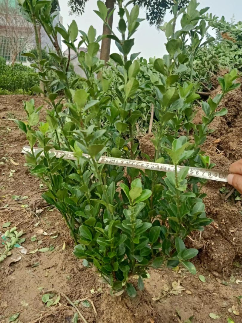 ������ì��