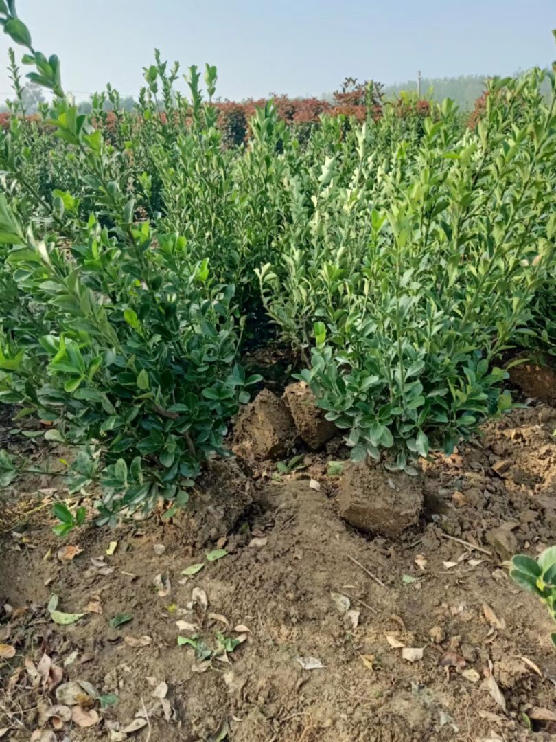 ������ì��