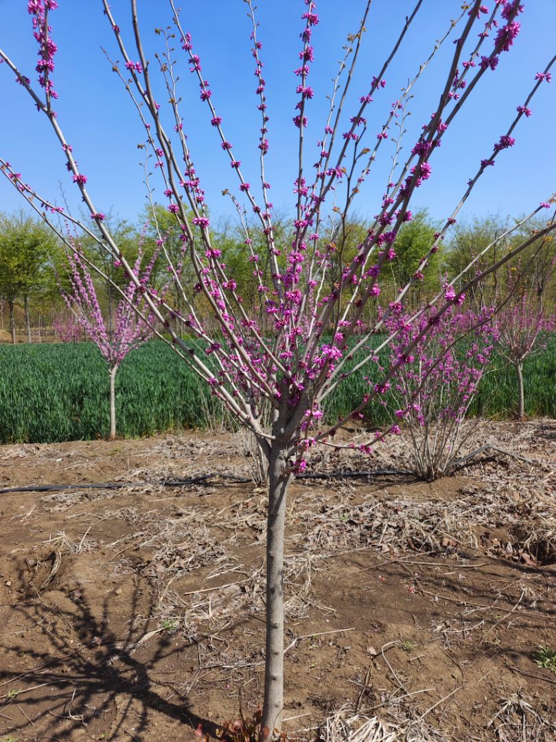 �����Ͼ�