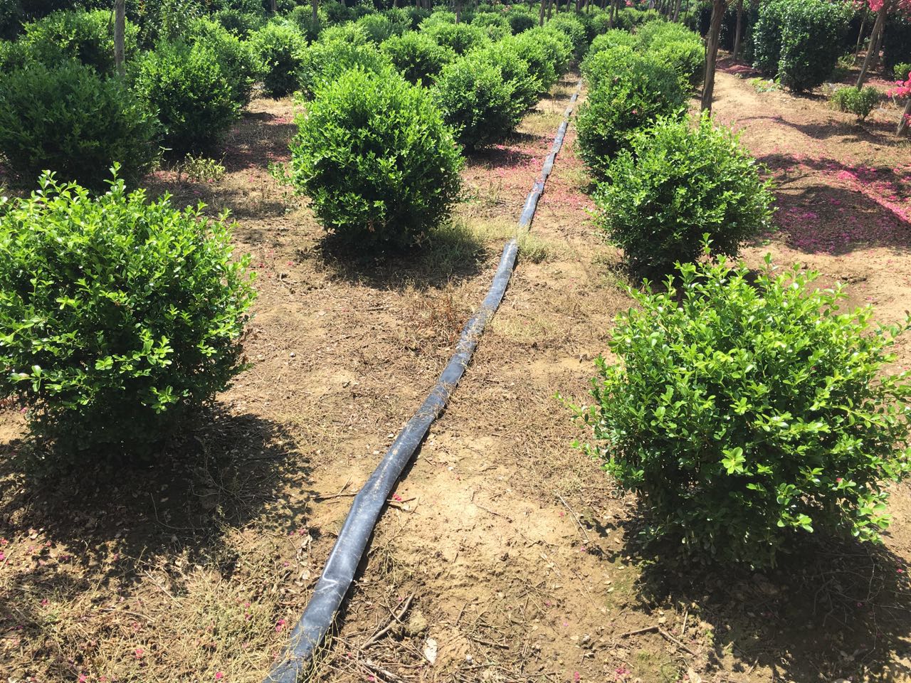 СҶ������