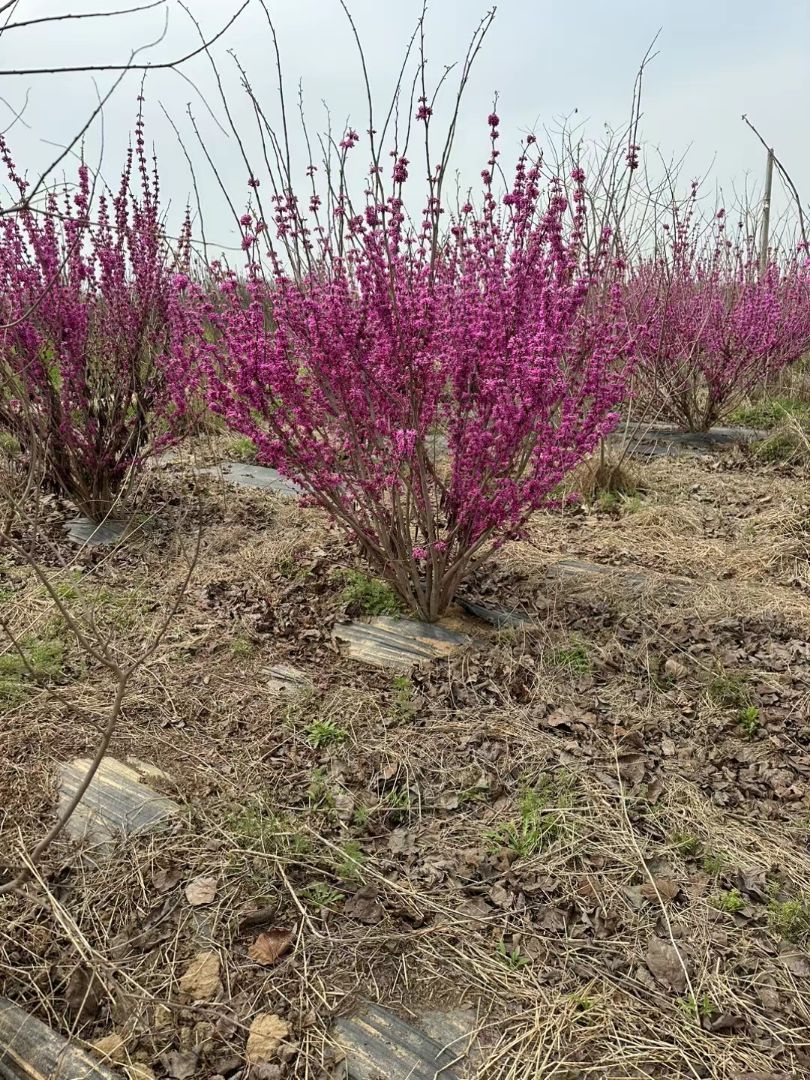 �����Ͼ�