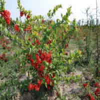 �N������