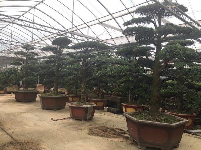 �����޺���