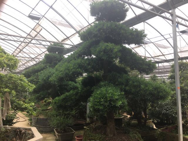 �����޺���