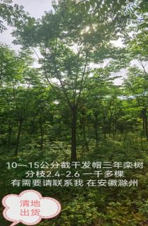 ��ɽ����