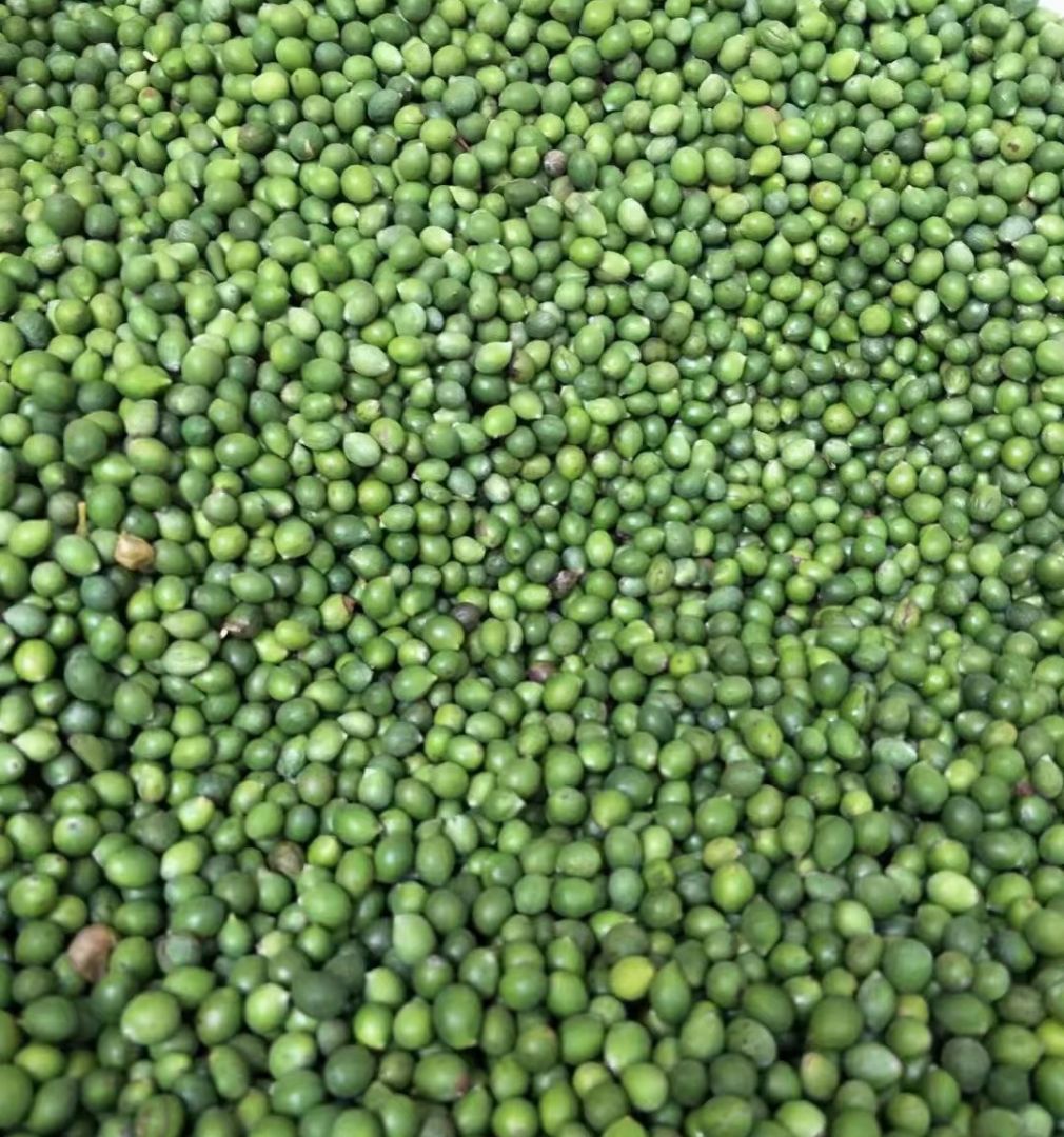 �޺�������