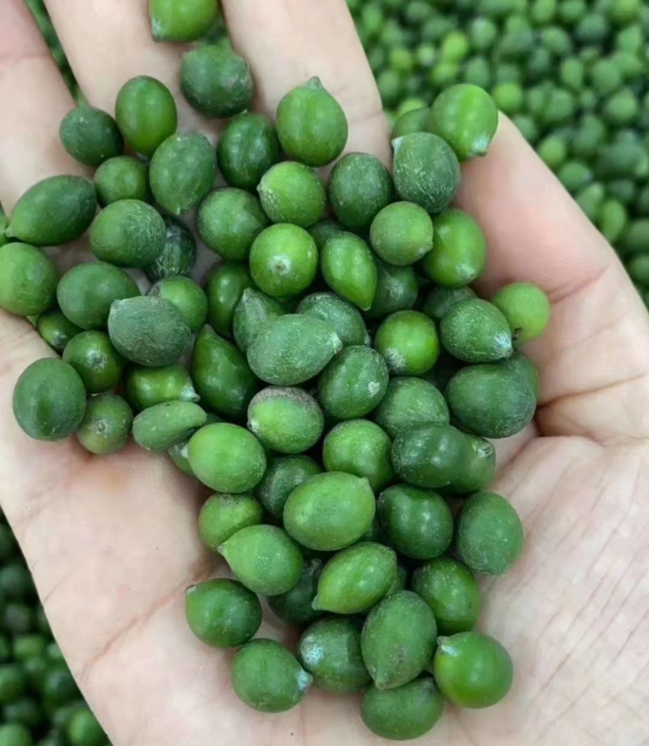 �޺�������