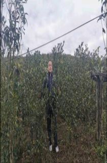 Ͳ