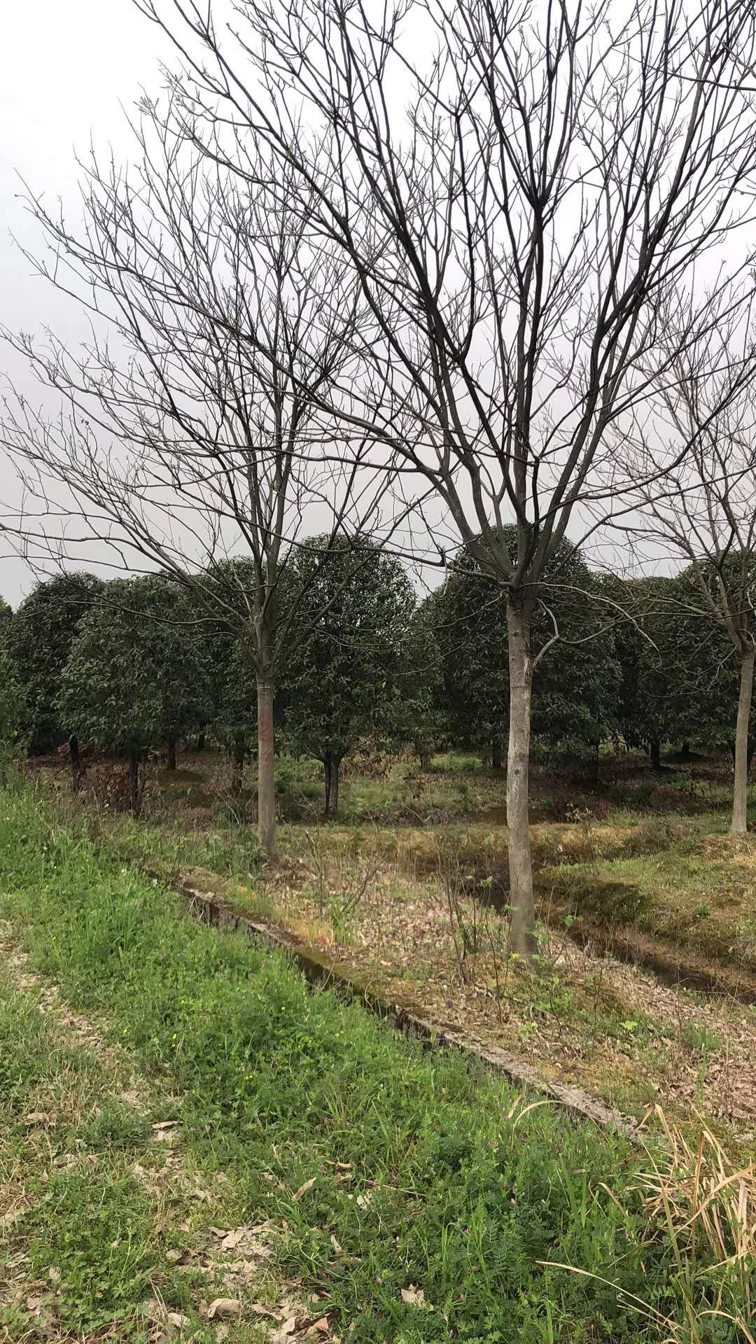 ޻