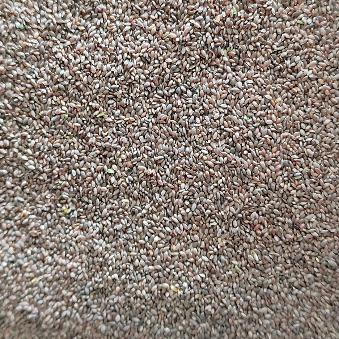 ϲ