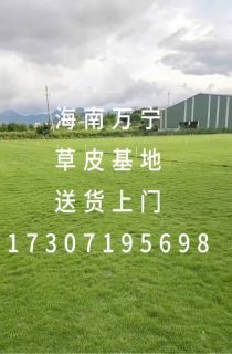 ��������Ƥ