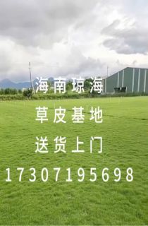 ļƺ