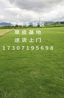 ļƺ
