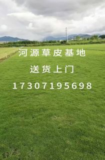 ļƺ