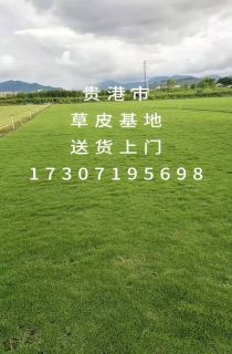 ļƺ