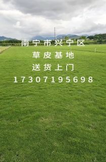 ļƺ