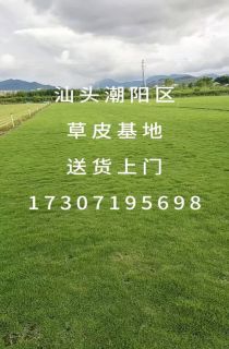 ļƺ