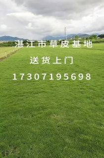 ļƺ