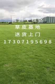 Сؽײ